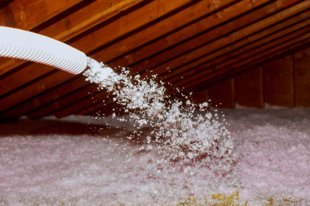 Best Specialized Insulation Services in Somerset, PA