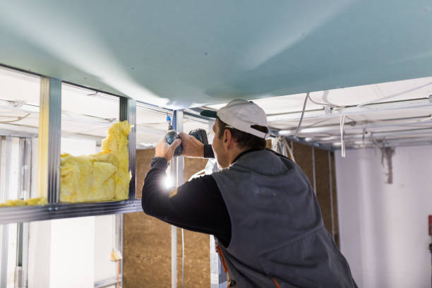 Best Geographic-Specific Insulation Services in Somerset, PA